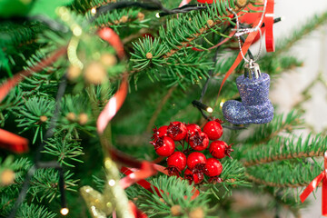 Natural green spruce twig background or texture