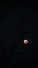 blood moon in the night sky