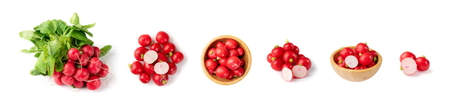 Radis Roots, Fresh Radish Root Bundle, Pile of Red Radishes