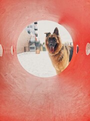 Processed with VSCO with g3 preset