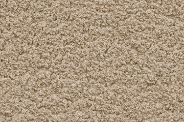 Solid background of soft pastel color with rough plaster texture. Abstract blank for design