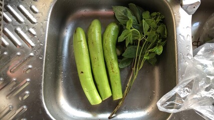 Fresh long eggplant and organic basil leaves at sink water in rustic kitchen,natural morning glare light,selective focus.Preparation healthy food.