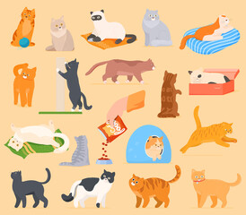 A set of cartoon cats that play, rest, sleep, eat. Cats isolated on a white background. Vector illustration