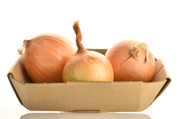 Three round fragrant onions in a paper box, close-up, isolated on white.