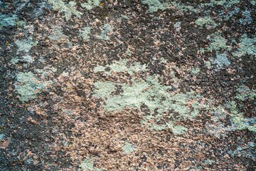 Multi-colored mold texture on the stones