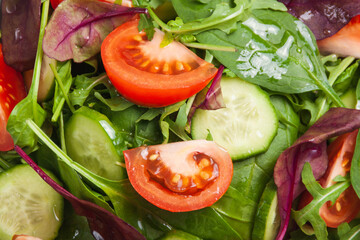 Healthy fresh salad of vegetable cucumber, tomato, spinach, arugula