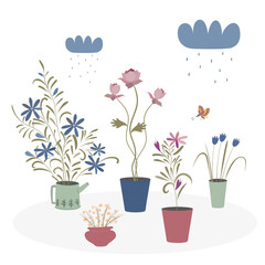 Houseplants in pots in hand drawn style isolated on a white background. The rain is watering the flowers.