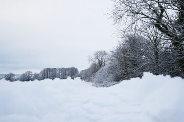 A beautiful cold wintery snowy field and dead tree setting in the countryside. Icy frosty damp harsh conditions. Crispy fresh powder snow. Perfect for snowboarding and skis.