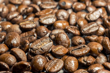 Coffee beans isolated on white background. Close up of a bean of coffee to represent the good smell.