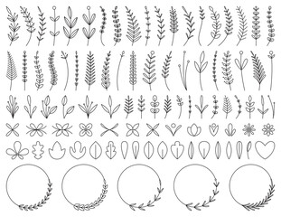 A collection of leaves and floral design elements