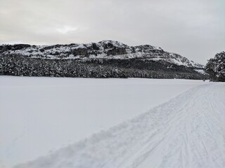 montagne enneigé gréolière les neiges, ski de fond bâton et foret luxuriante, sport d'hiver,...