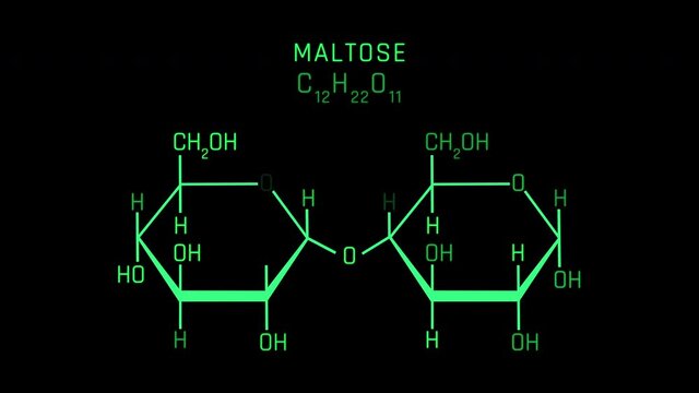 Maltose also known as maltobiose or malt sugar Molecular Structure Symbol Neon Animation on black background