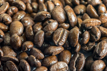 Coffee beans isolated on white background. Close up of a bean of coffee to represent the good smell.