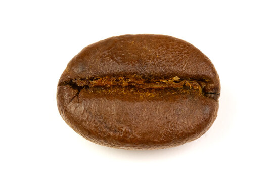 Close-up single roasted coffee bean isolated on white background.