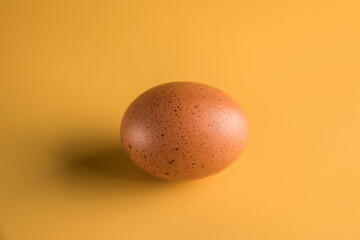 brown little chicken egg yellow background. Closeup