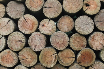 Close look at wood textures