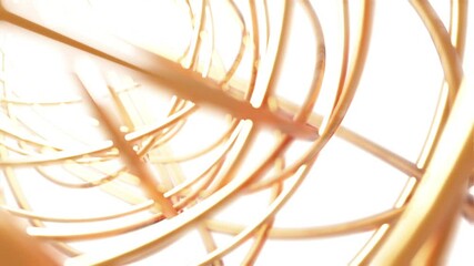 Abstract Gold torus 3D rendering multiple pattern rotation, Network technology concept design on white background animation 4K footage - Powered by Adobe