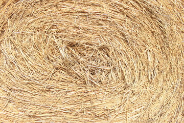 Hay textures