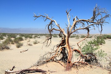 American National Park - Death Valley