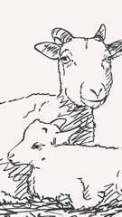 Goat and goatling together hand drawn portrait, Vector vertical illustration