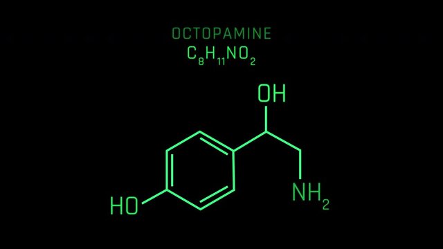 Octopamine also known as para-octopamines Molecular Structure Symbol Neon Animation on black background