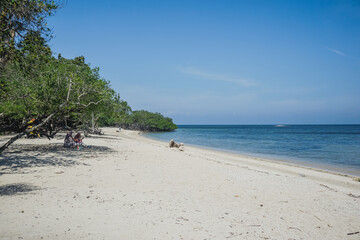 Fototapeta premium Tropical Bama Beach in Baluran Park
