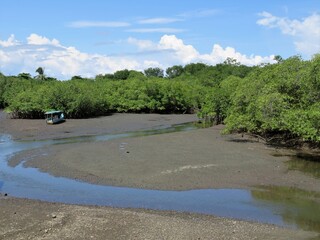 Boat in mangroves in Costa Rica
