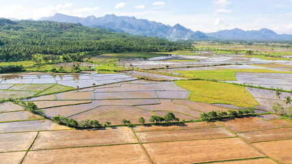 Paddy fields in the Philippines. Mountain landscape with green hills and farmland.