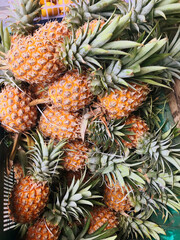 pineapples at the market