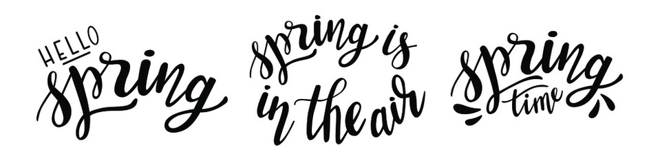 Spring Time hand drawn lettering set of 3. Vector phrases elements for cards, banners, posters, mug, scrapbooking, pillow case, phone cases and clothes design. Hello spring, spring time.