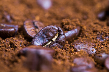 aromatic coffee beans with ground coffee powder