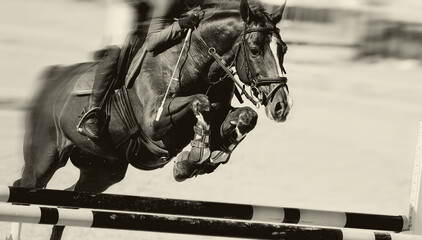 The horse overcomes an obstacle.Show jumping