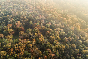 Green park in city frome above. Dąbrowa Gornicza green park in silesia, poland aerial droneview