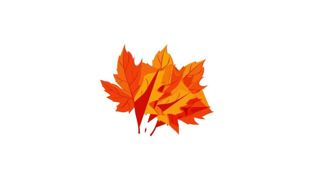 Autumn leaves icon animation best object on white background