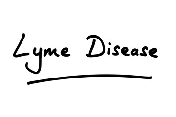 Fototapeta na wymiar Lyme Disease