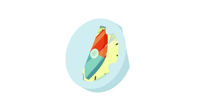 Compass icon animation best object on white background
