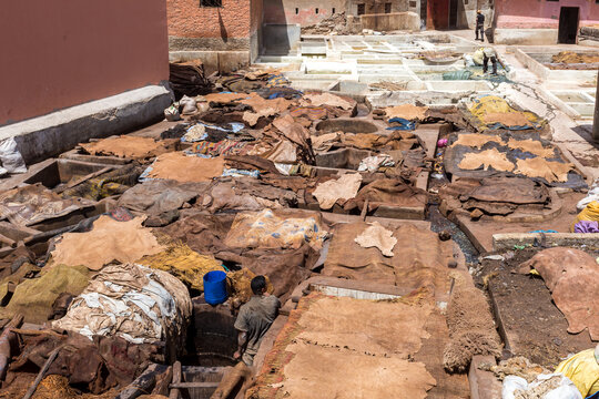 Animal skins drying in Marrakesh