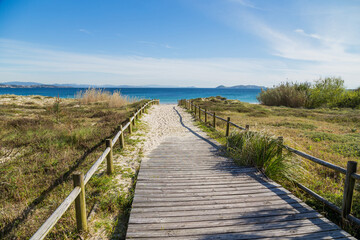 Fototapeta premium Beautiful beach in Isla de Ons