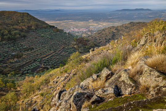 Landscape near montanchez. Extremadura. Spain.
