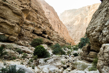 Rocky valley with shrubs and small trees in Wadi Shab, Oman.