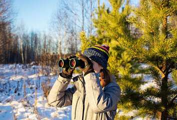 Young woman birdwatcher in winter clothes and knitted scarf looking through binoculars in winter snowy pine forest. Ecology and ornithological research, birdwatching - obrazy, fototapety, plakaty