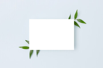 Empty paper card mockup and green leaves of pistachio on a blue pastel background. Summer composition with copyspace.