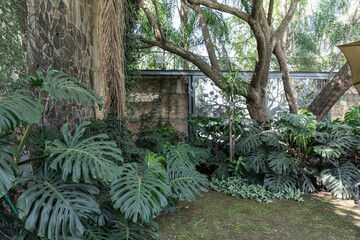Greenhouse full of green plants.