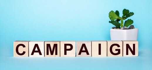 The word CAMPAIGN is written on wooden cubes near a flower in a pot on a light blue background
