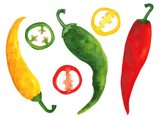 Chili pepper watercolor set. Red, green and yellow hot long peppers with slices and seeds. Jalapeno vegetable illustration for recipe, menu, product price tag, healthy banner