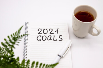 Plant, pen and notepad with 2021 goals inscription on white background, new year concept