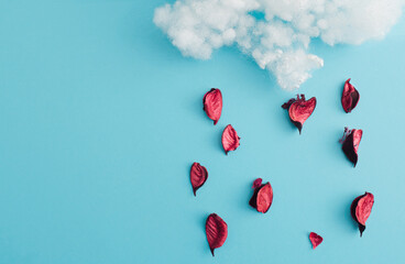 Rain delivered in the form of rose petals - artistic presentation. Blue background in harmony with...
