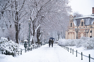Walking in snowy park in Krakow, Poland