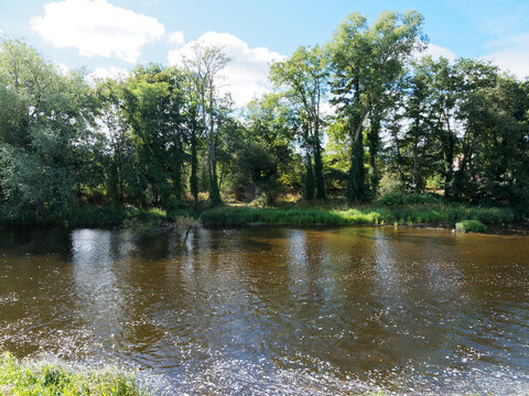 Le cours de la Sioule en aval du pont d'Ebreuil RD998 limite entre Allier et Puy-de-D&ocirc;me. R&eacute;gion Auvergne-Rh&ocirc;ne-Alpes