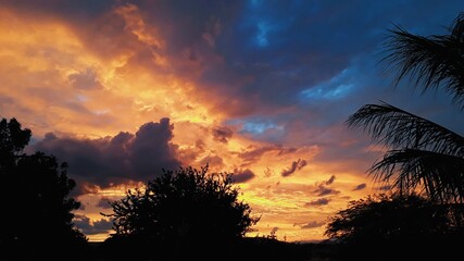 Sunrise In The Field 